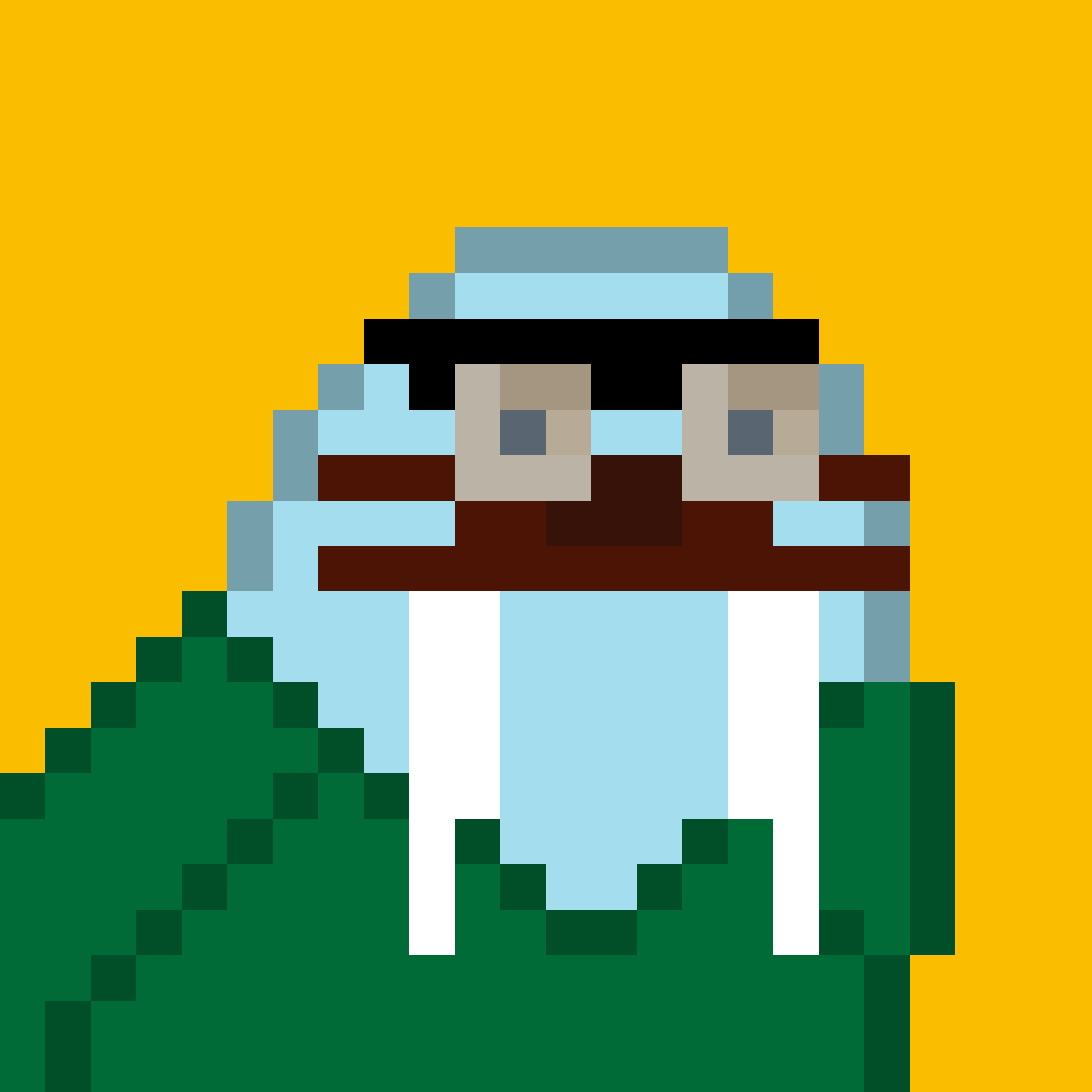 Front for Frosty Walrus #084