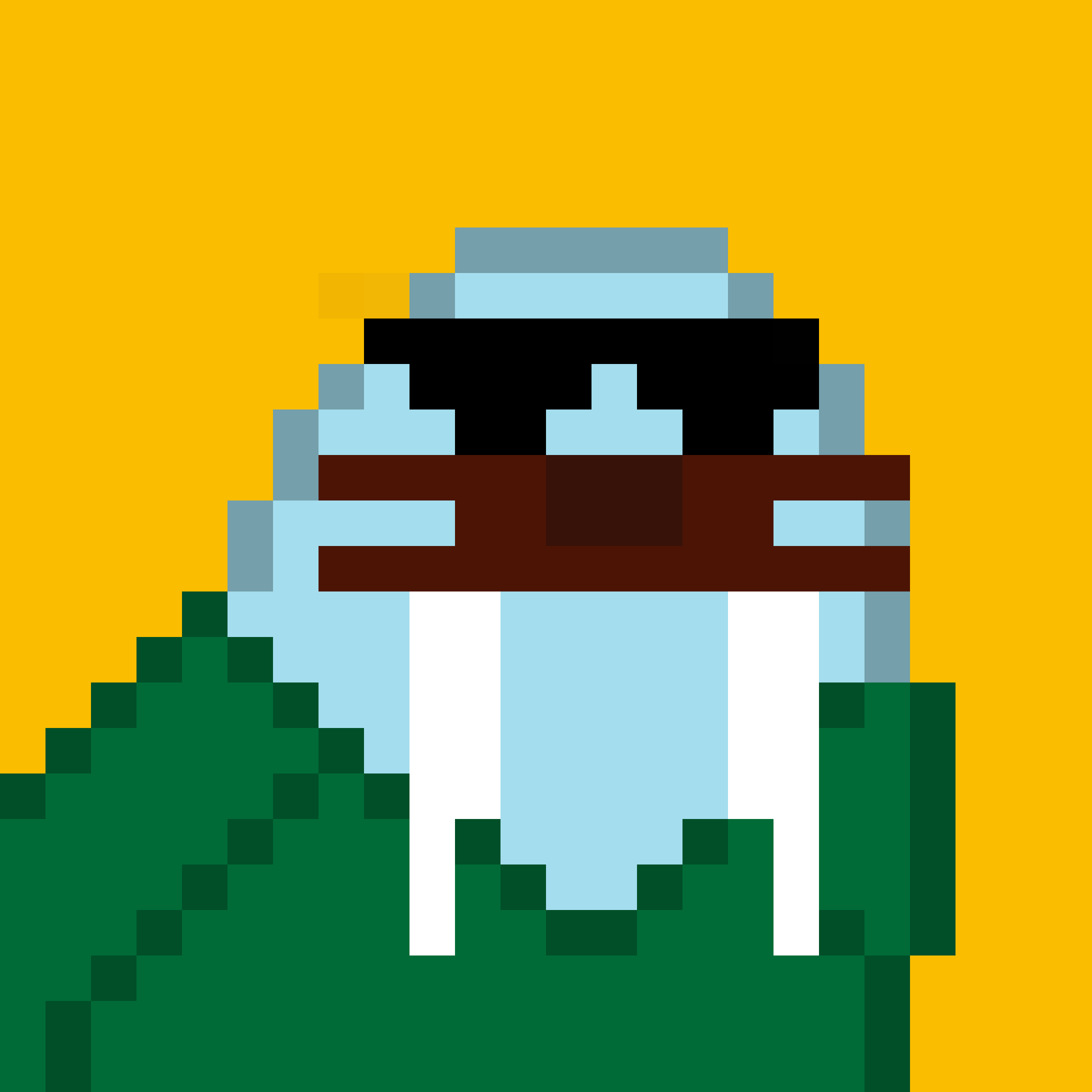 Front for Frosty Walrus #918