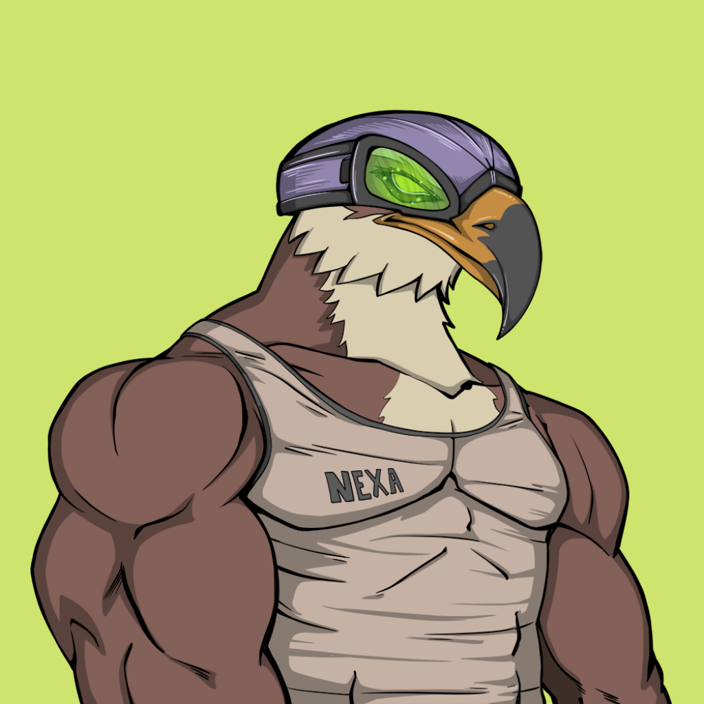 Front for Falcon399