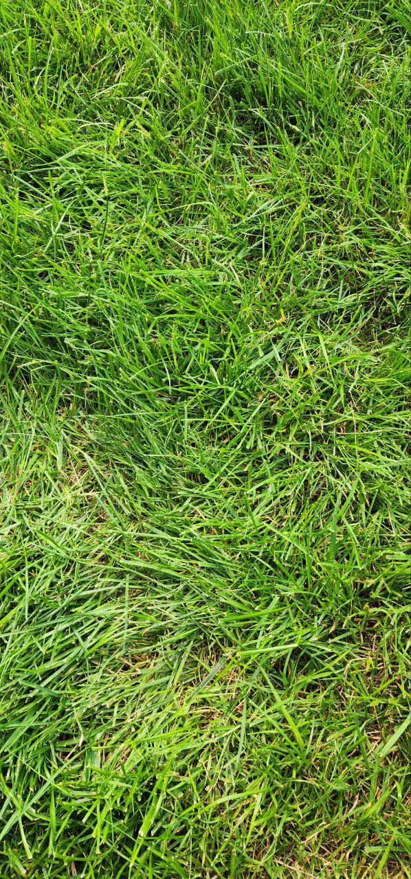 Front for grass