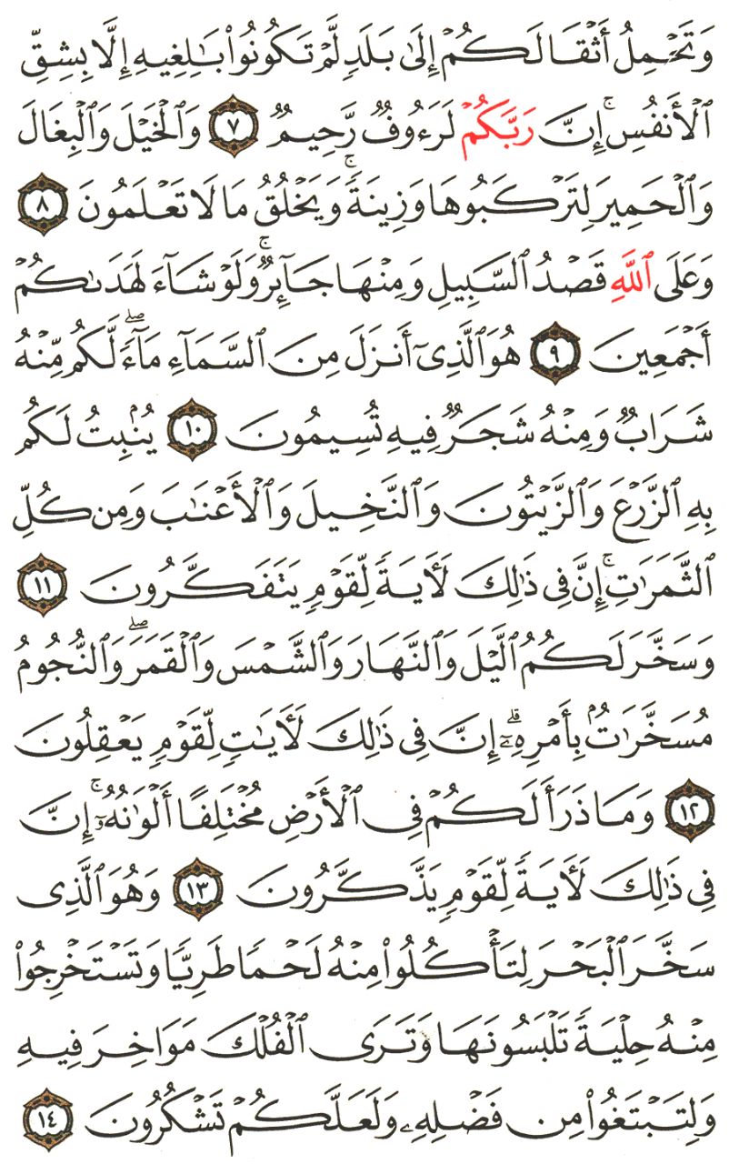 Front for سورة النحل  The Bees #1