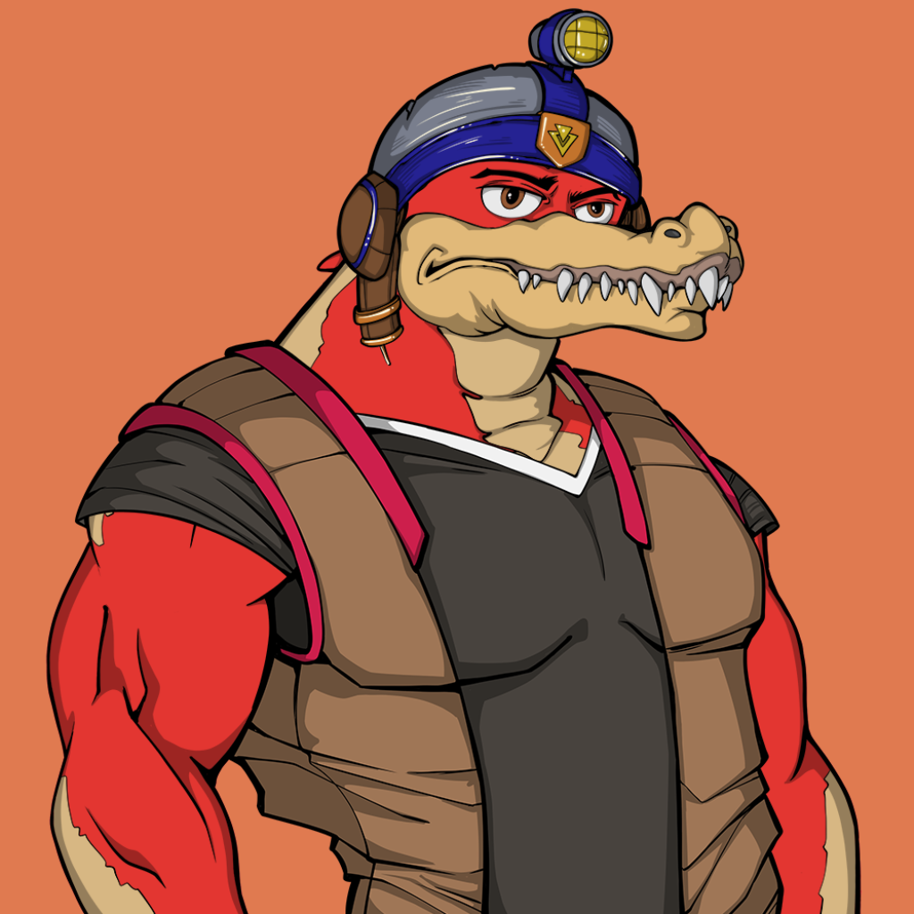 Front for Miami Gator 309