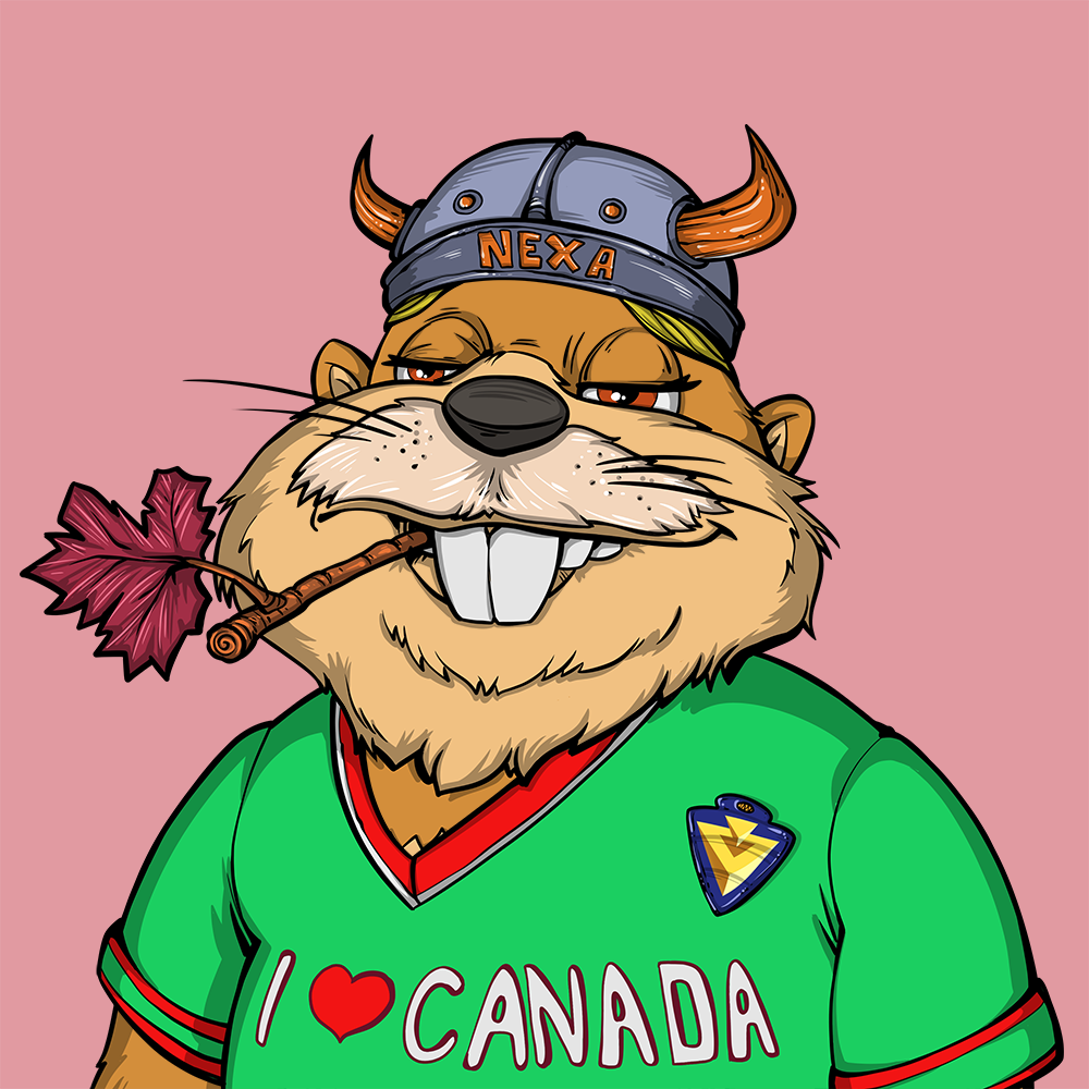 Front for Beef Beaver 393
