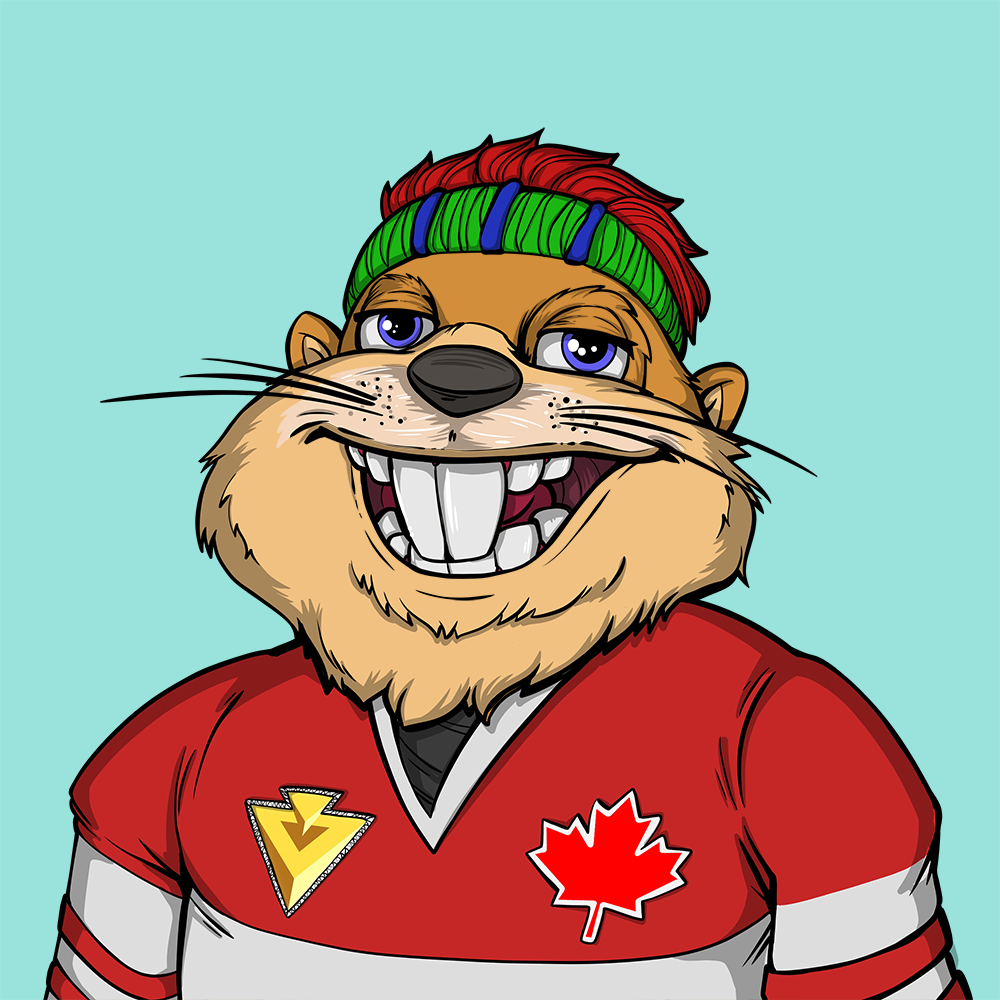 Front for Beef Beaver 466