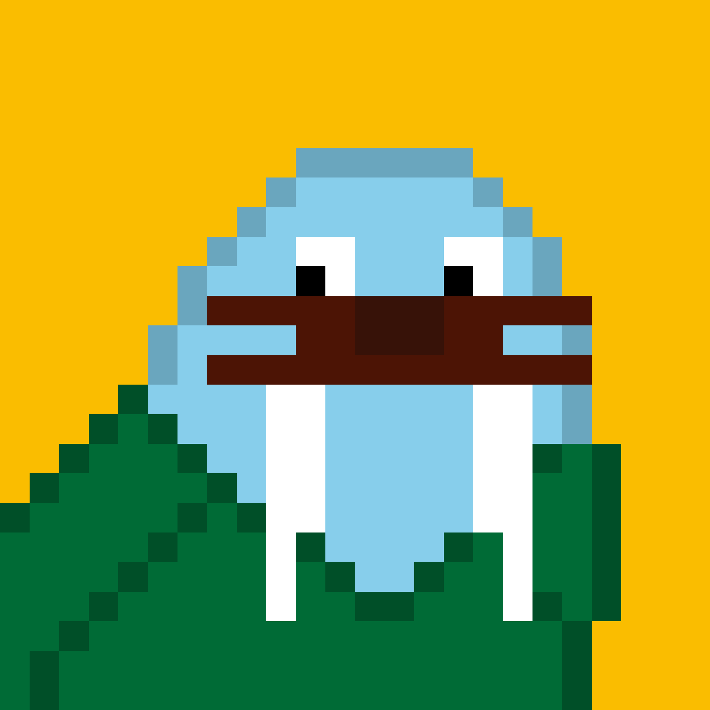 Front for Frosty Walrus #094