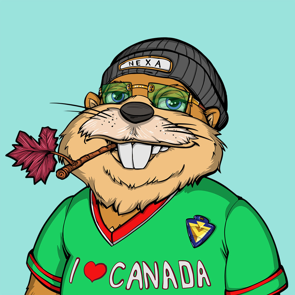 Front for Beef Beaver 037