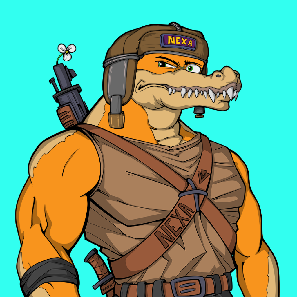 Front for Miami Gator 260