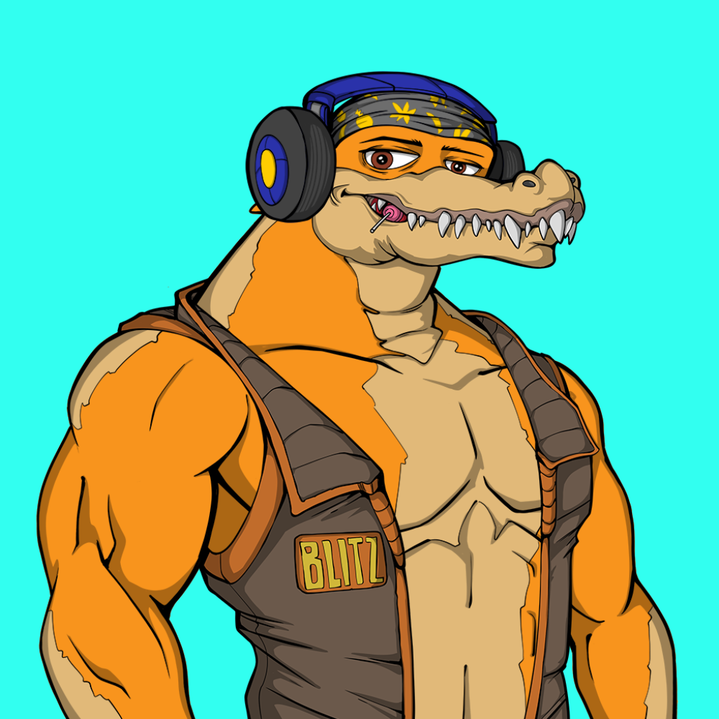 Front for Miami Gator 457