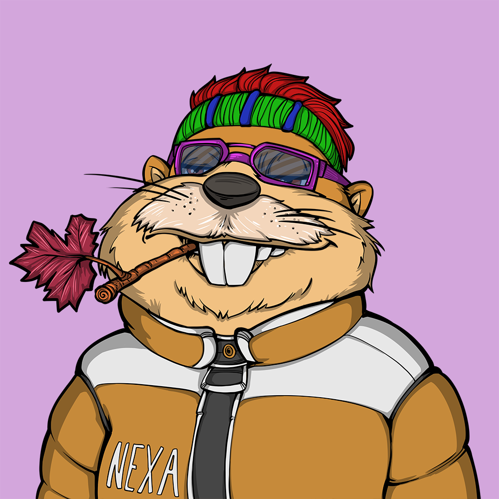 Front for Beef Beaver 078
