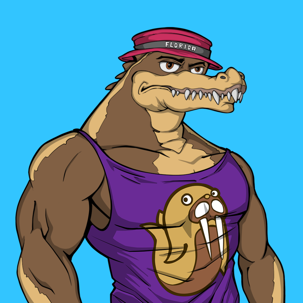 Front for Miami Gator 494