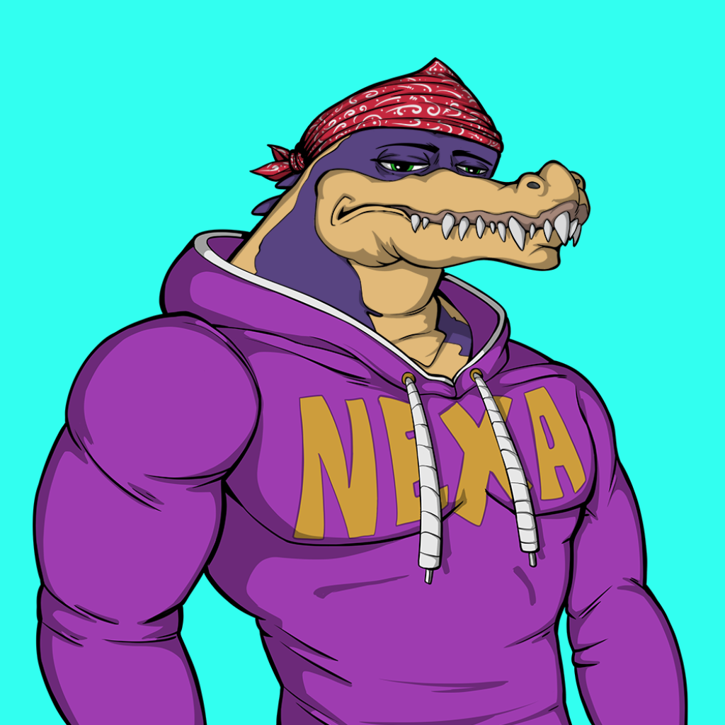 Front for Miami Gator 369