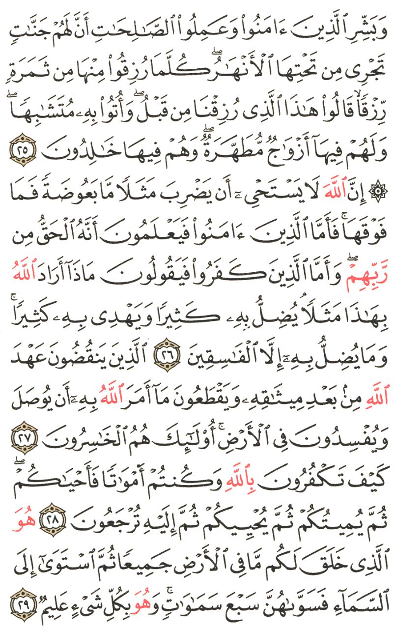 Front for سورة البقرة The Cow #4
