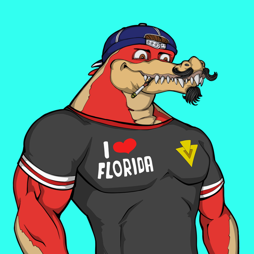 Front for Miami Gator 323