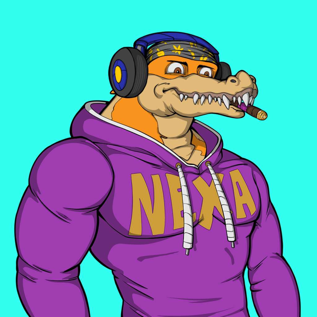 Front for Miami Gator 244