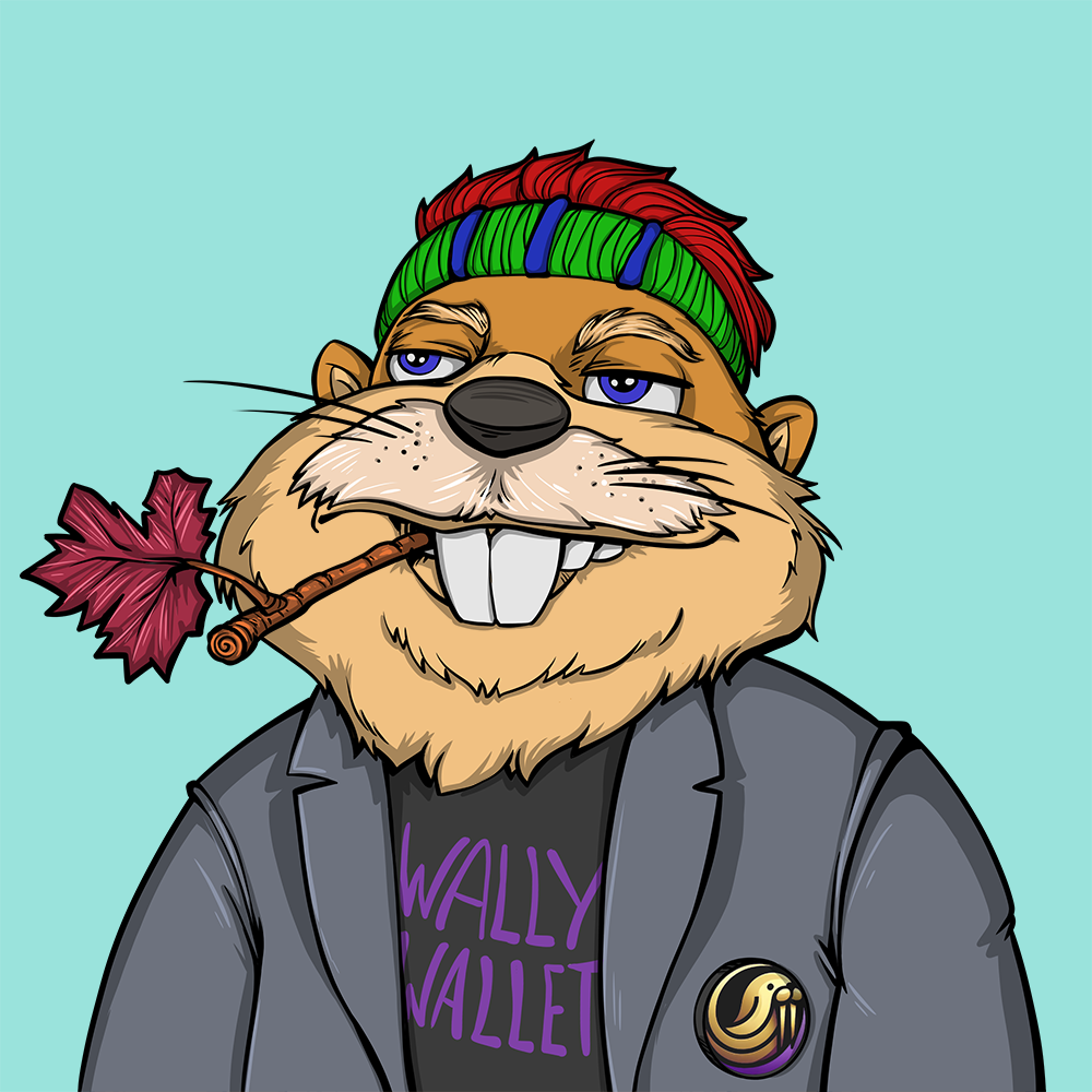 Front for Beef Beaver 011