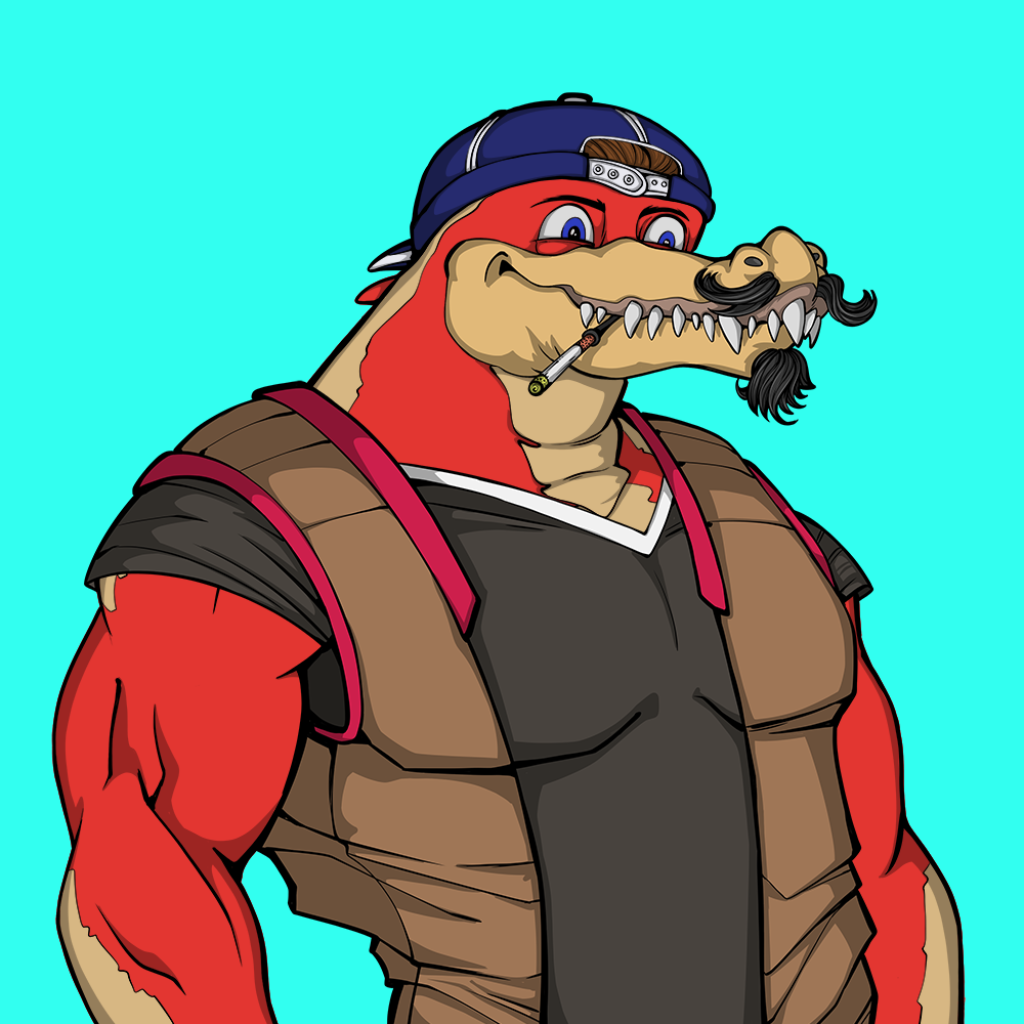 Front for Miami Gator 281