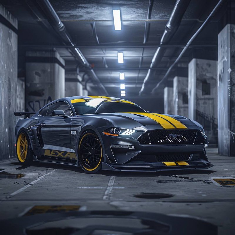 Front for Mustang#4