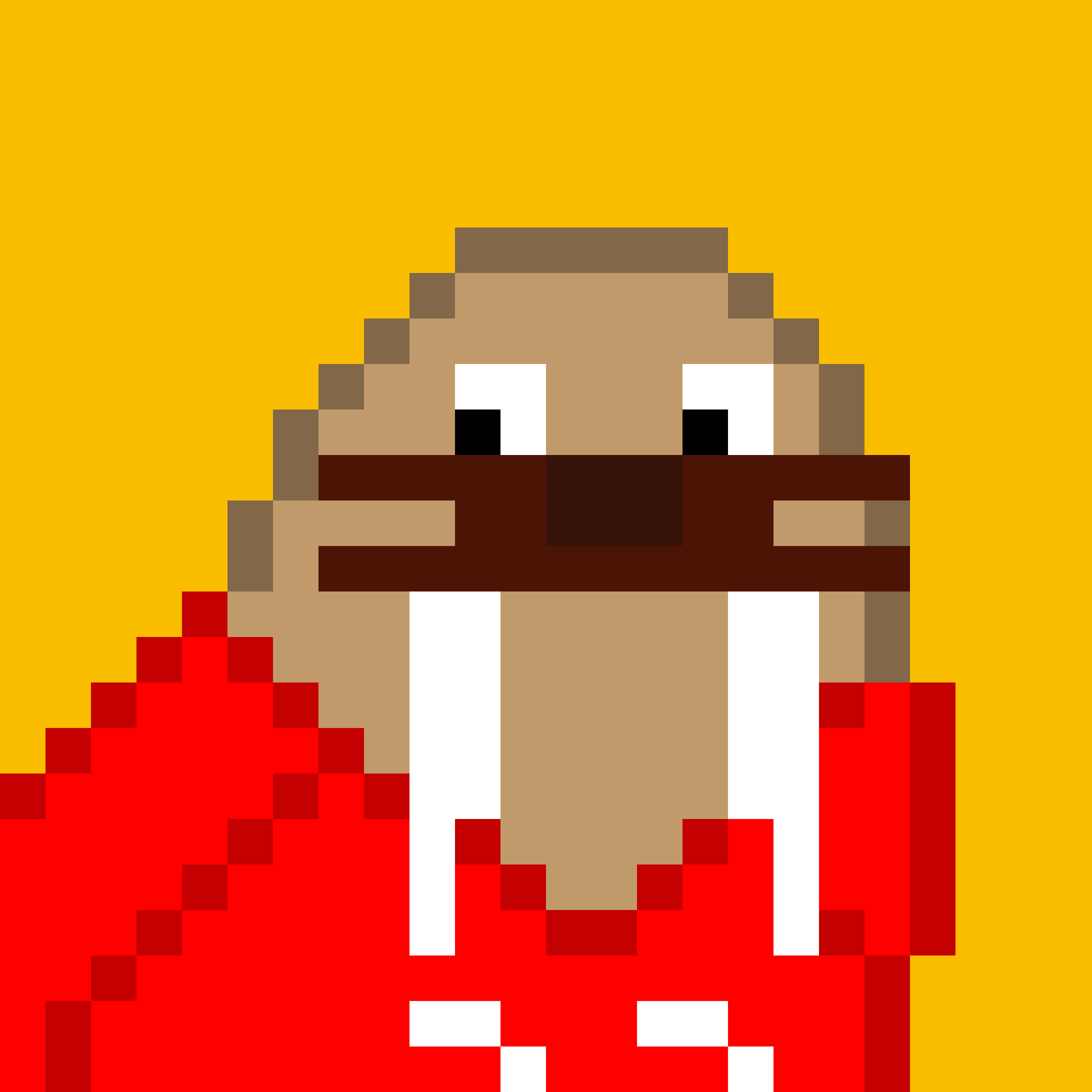 Front for Frosty Walrus #298