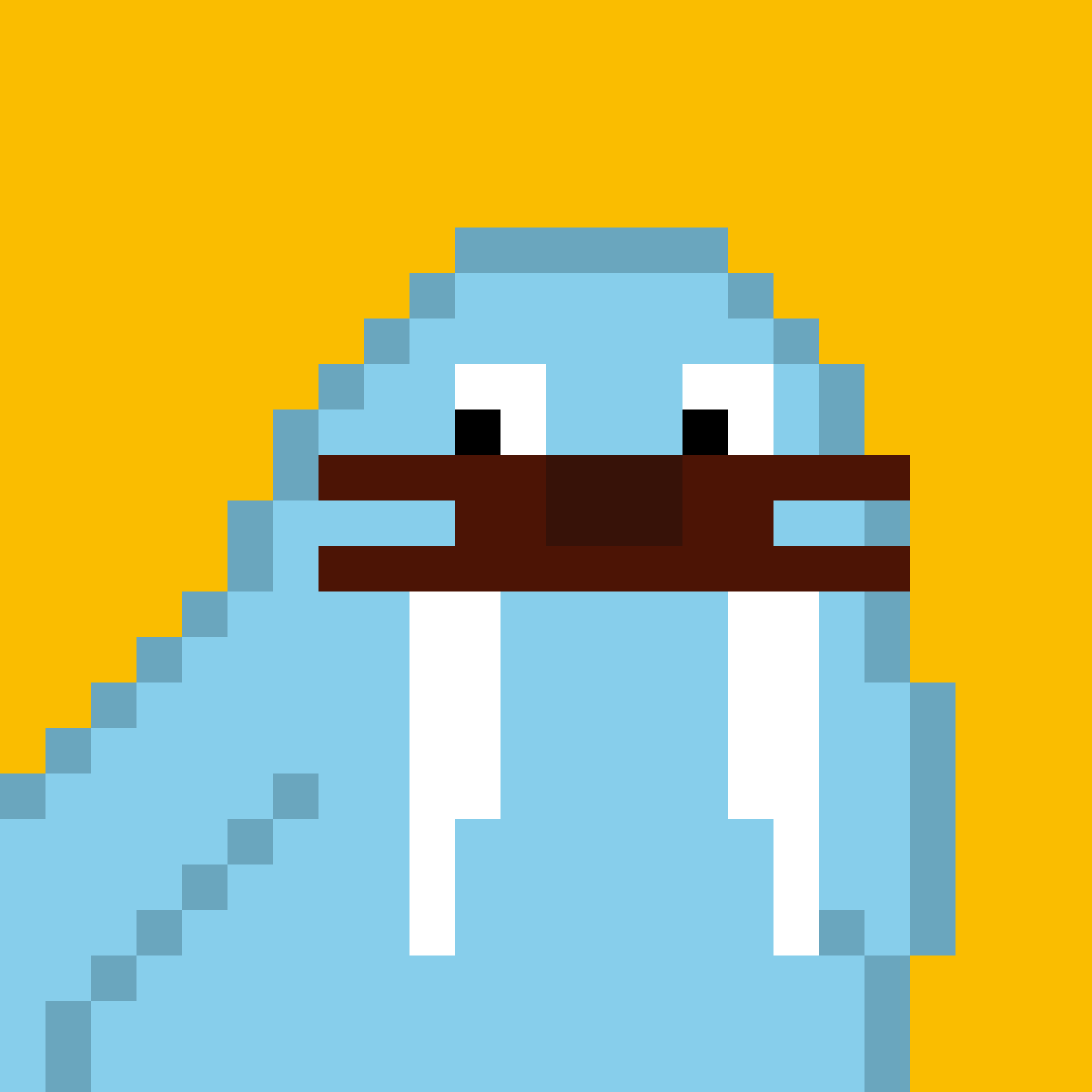 Front for Frosty Walrus #209