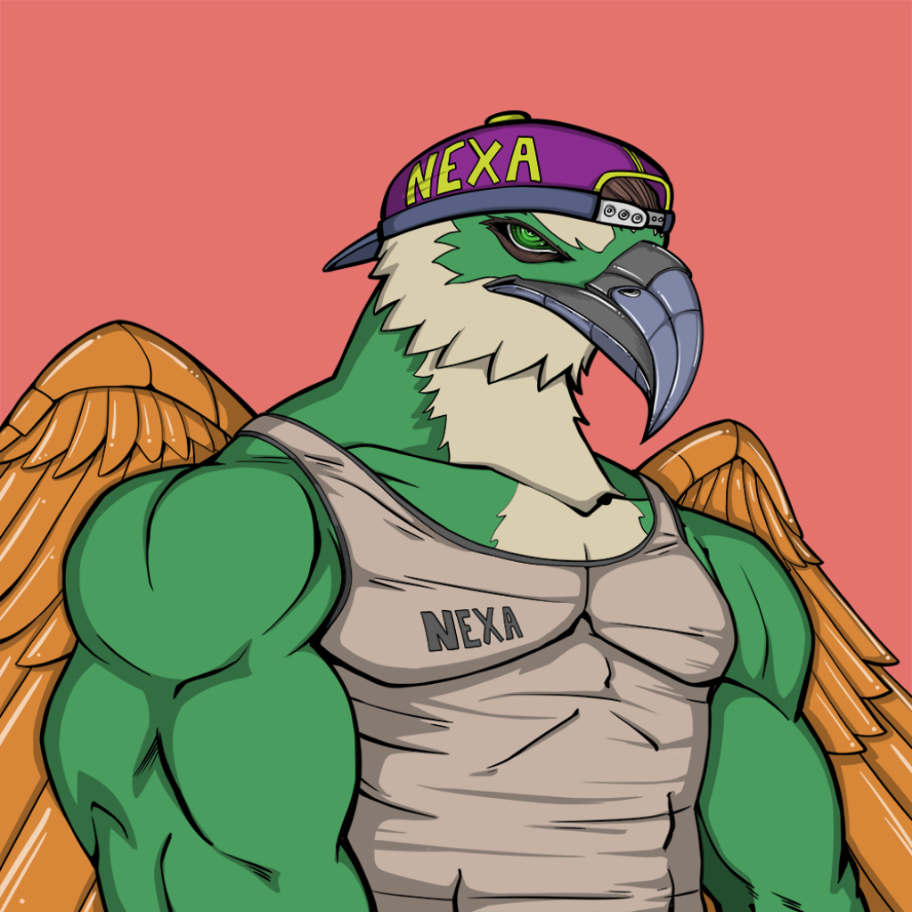 Front for Falcon053