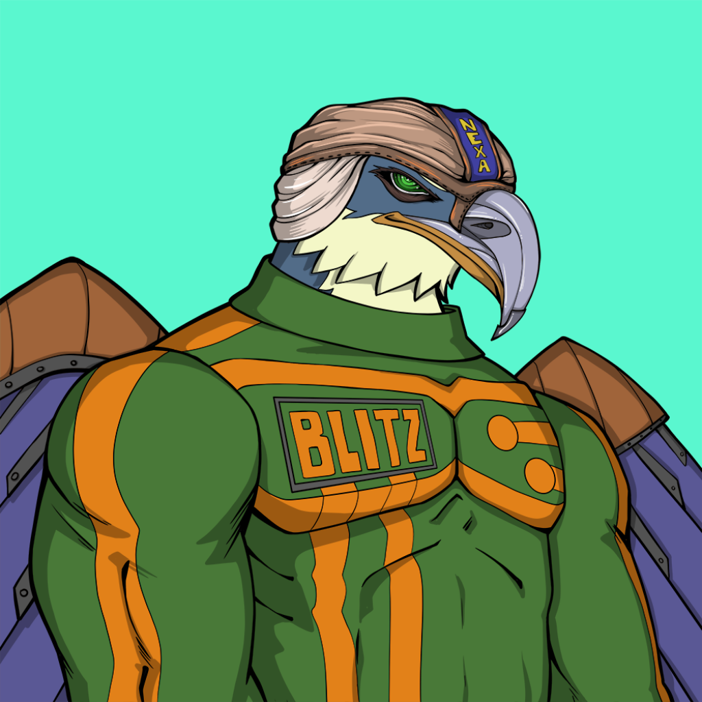 Front for Falcon046
