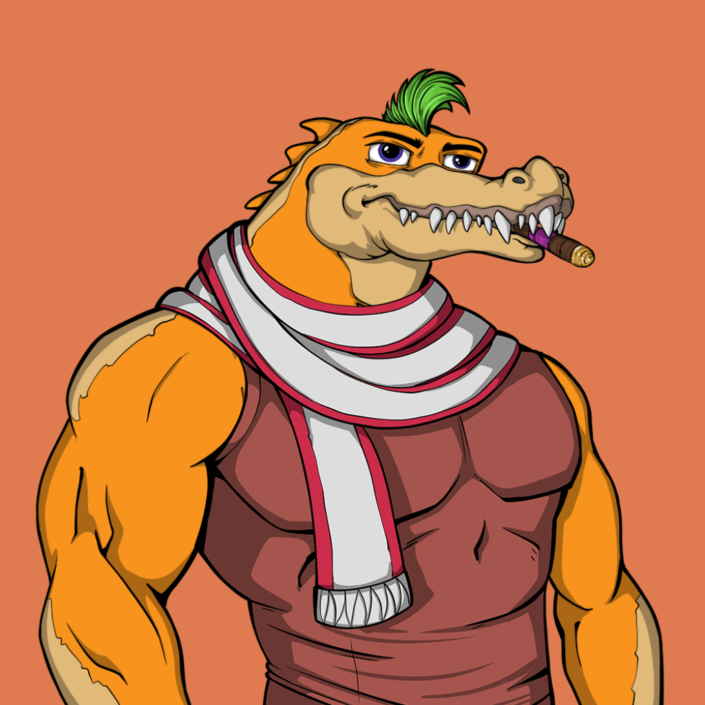 Front for Miami Gator 428