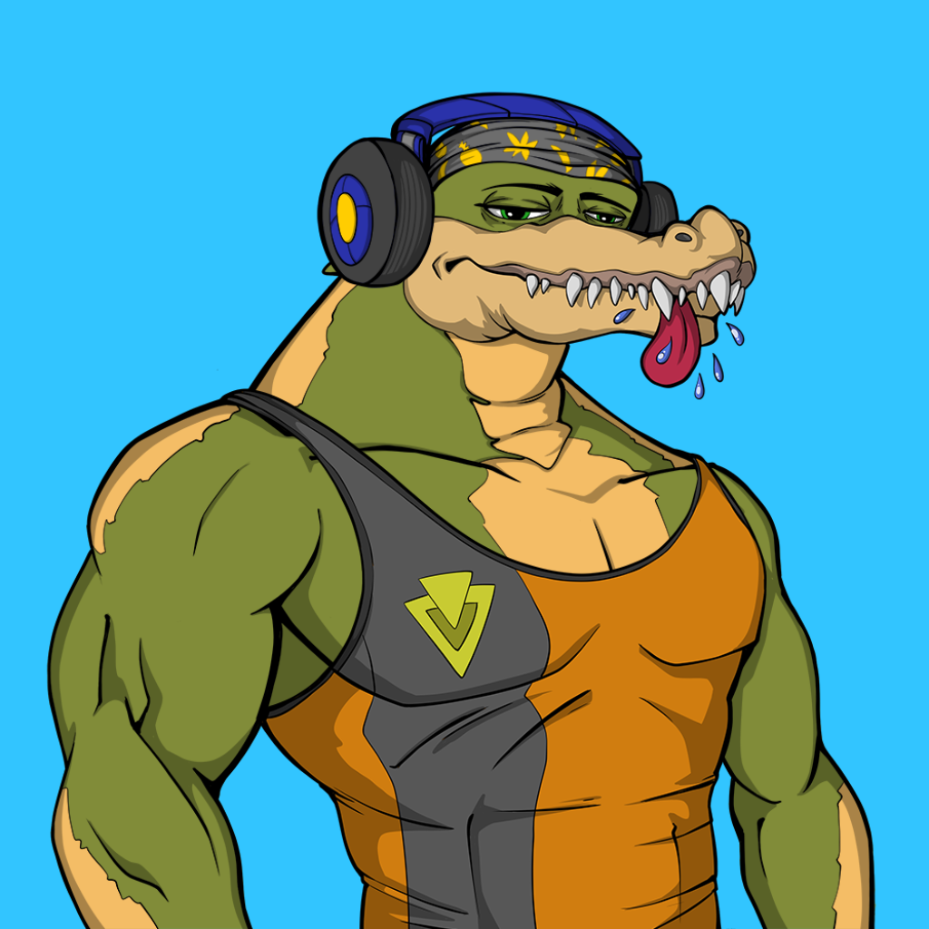 Front for Miami Gator 479