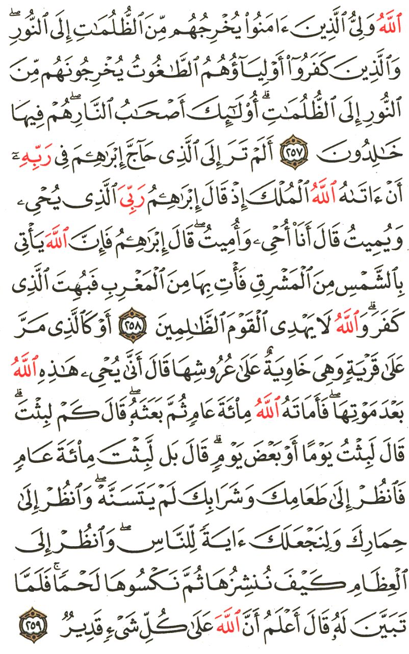 Front for سورة البقرة The Cow #42