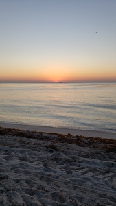 Front for Miami sunrise