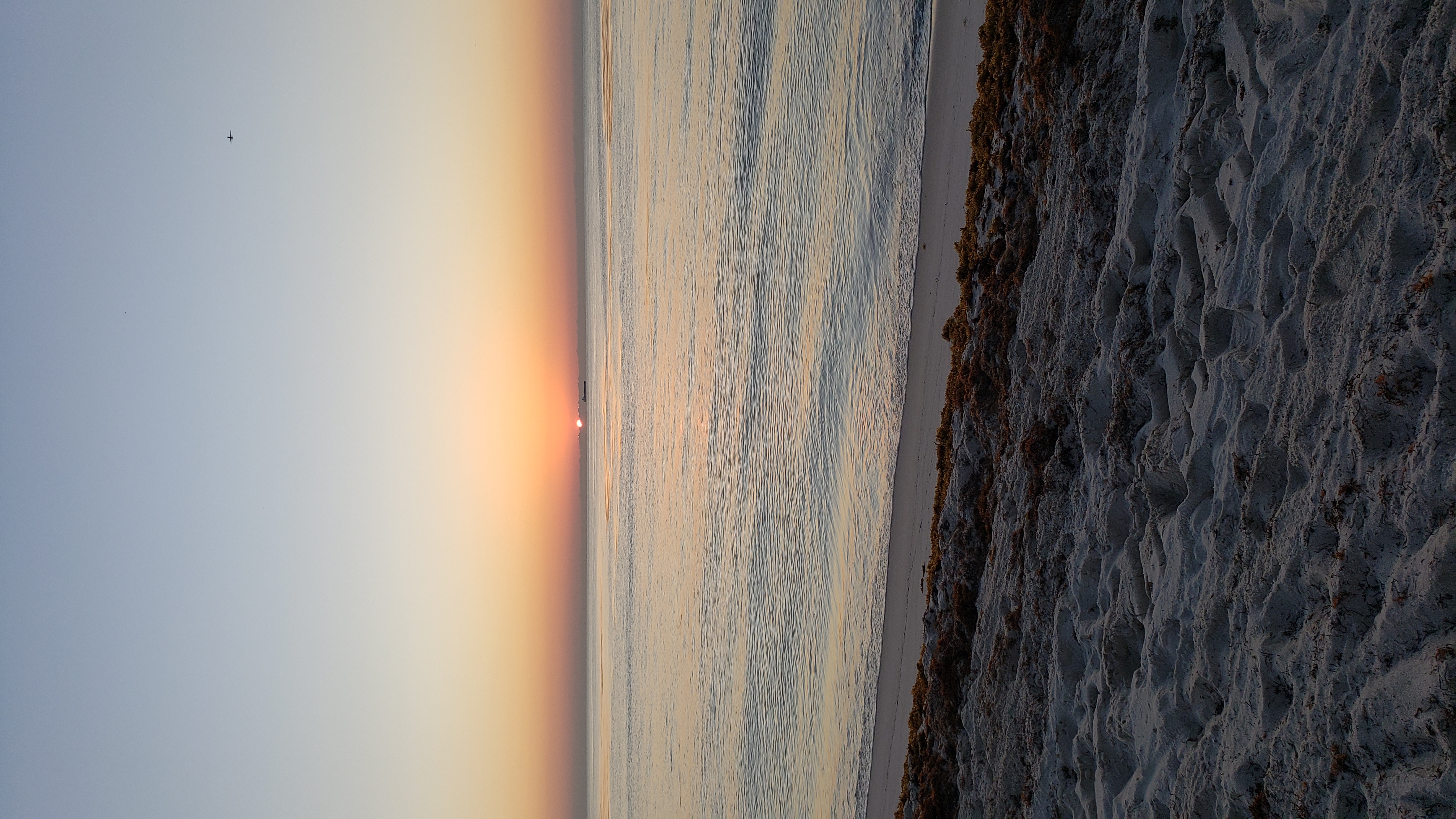 Public for Miami sunrise