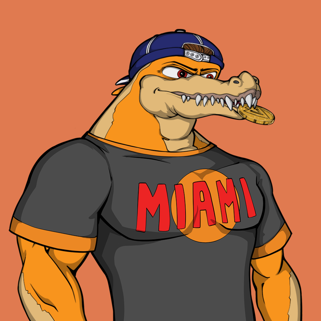 Front for Miami Gator 163