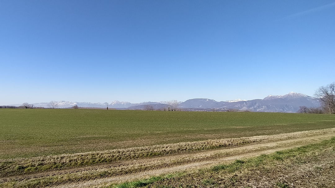 Front for The Friulian plain