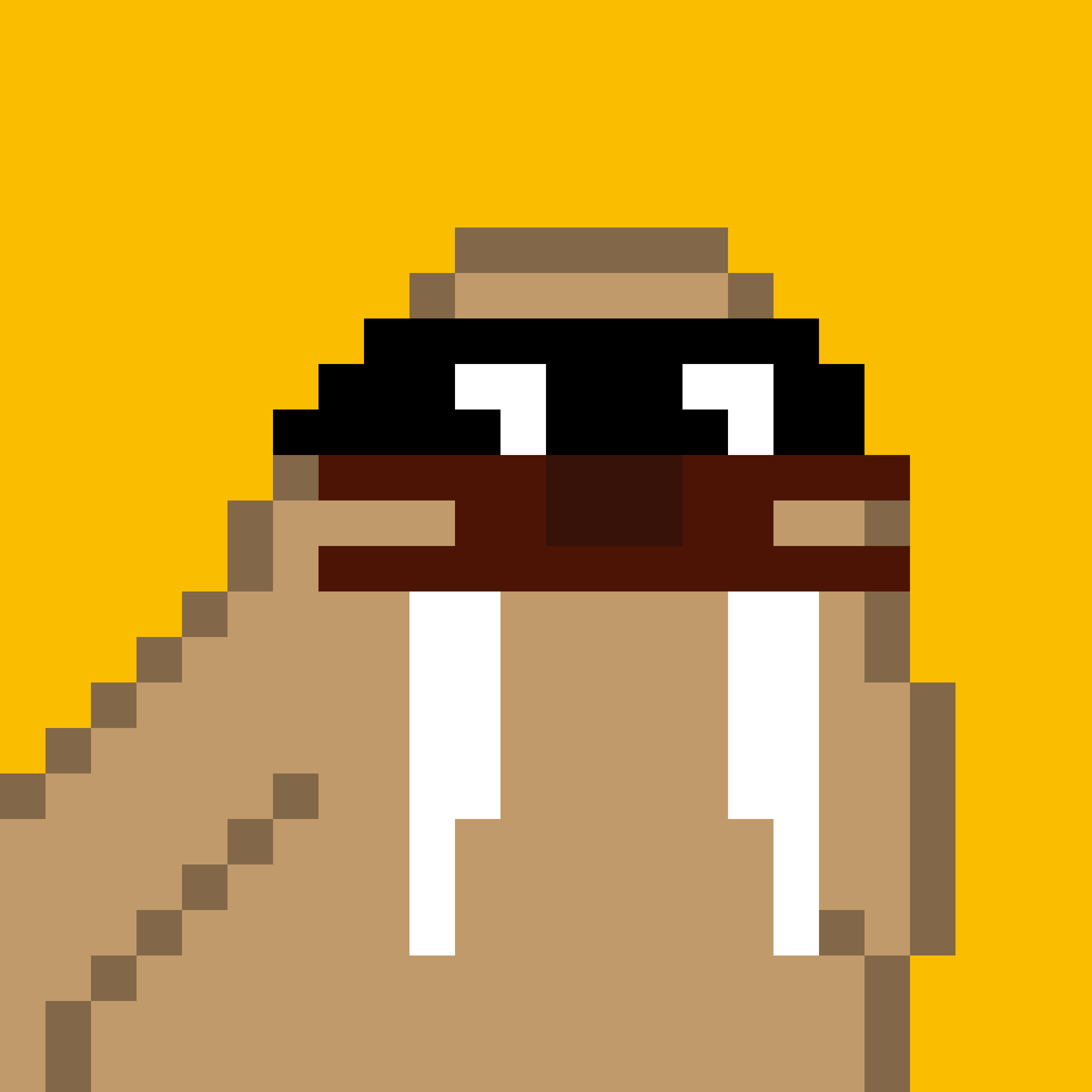 Public for Frosty Walrus #346