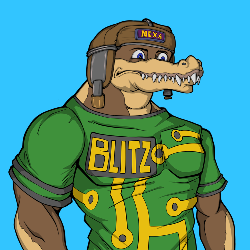 Front for Miami Gator 049