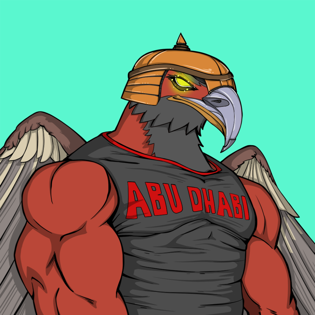 Front for Falcon171