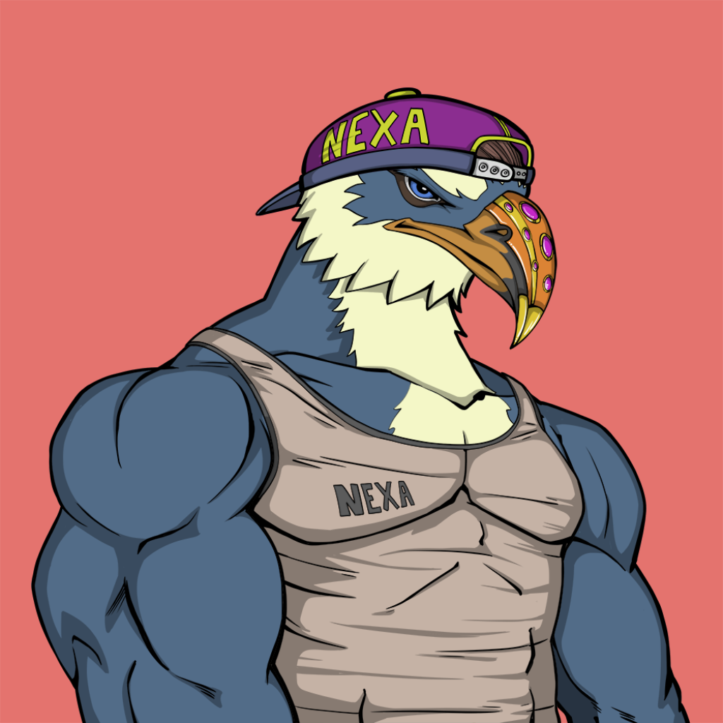 Front for Falcon078