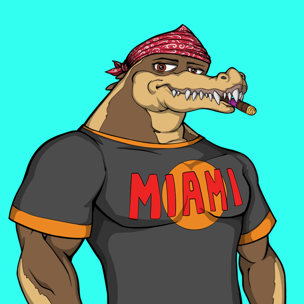 Front for Miami Gator 078