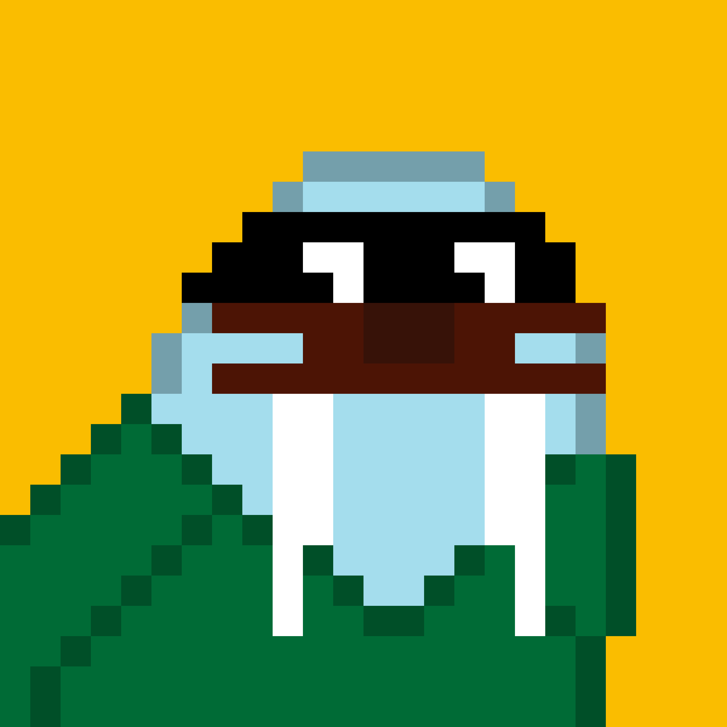 Front for Frosty Walrus #804