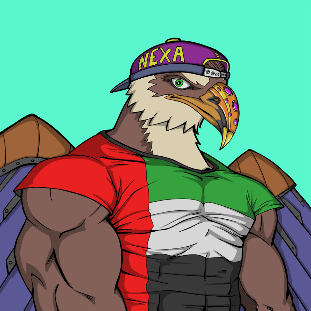 Front for Falcon048