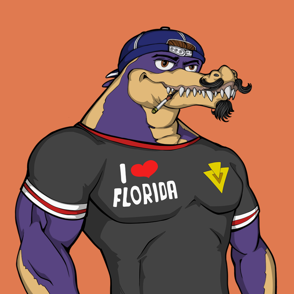 Front for Miami Gator 231