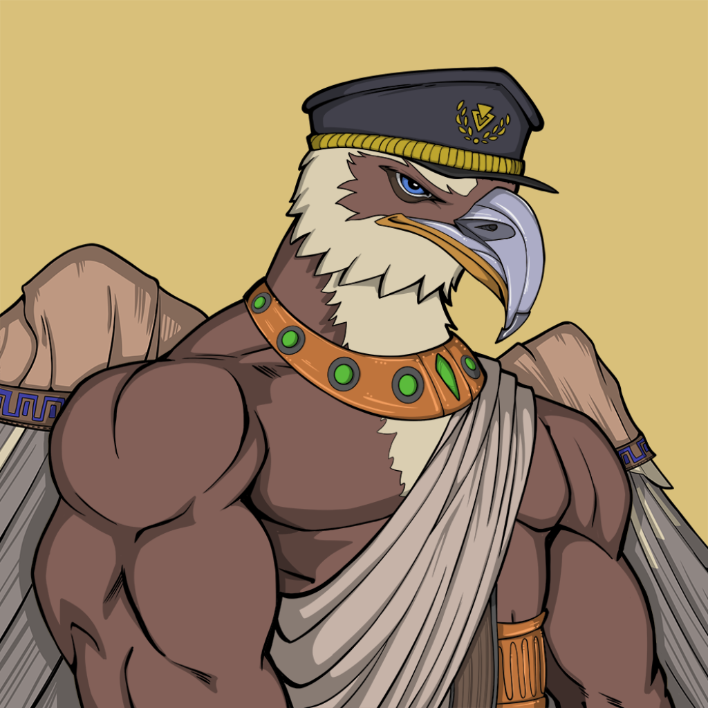 Front for Falcon063