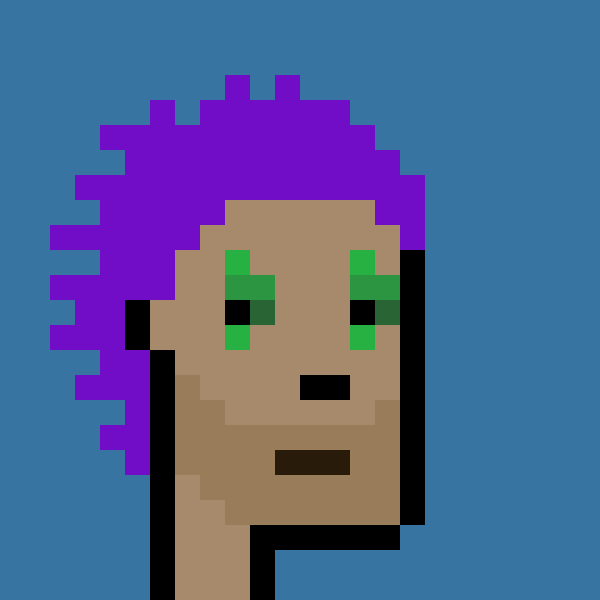 Front for Crypto Chad #527