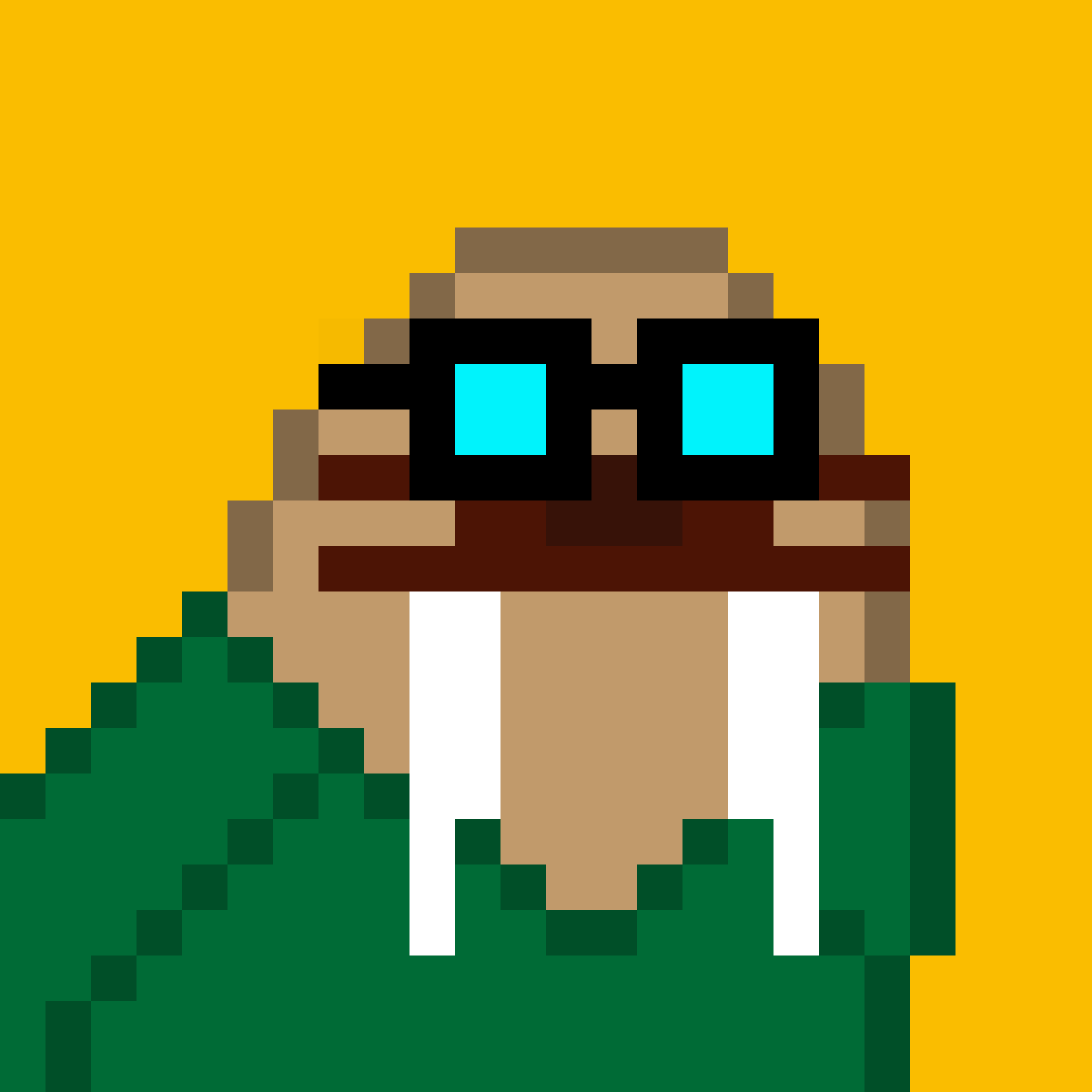 Front for Frosty Walrus #198