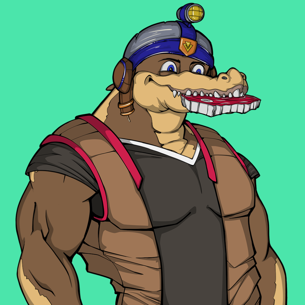 Front for Miami Gator 379