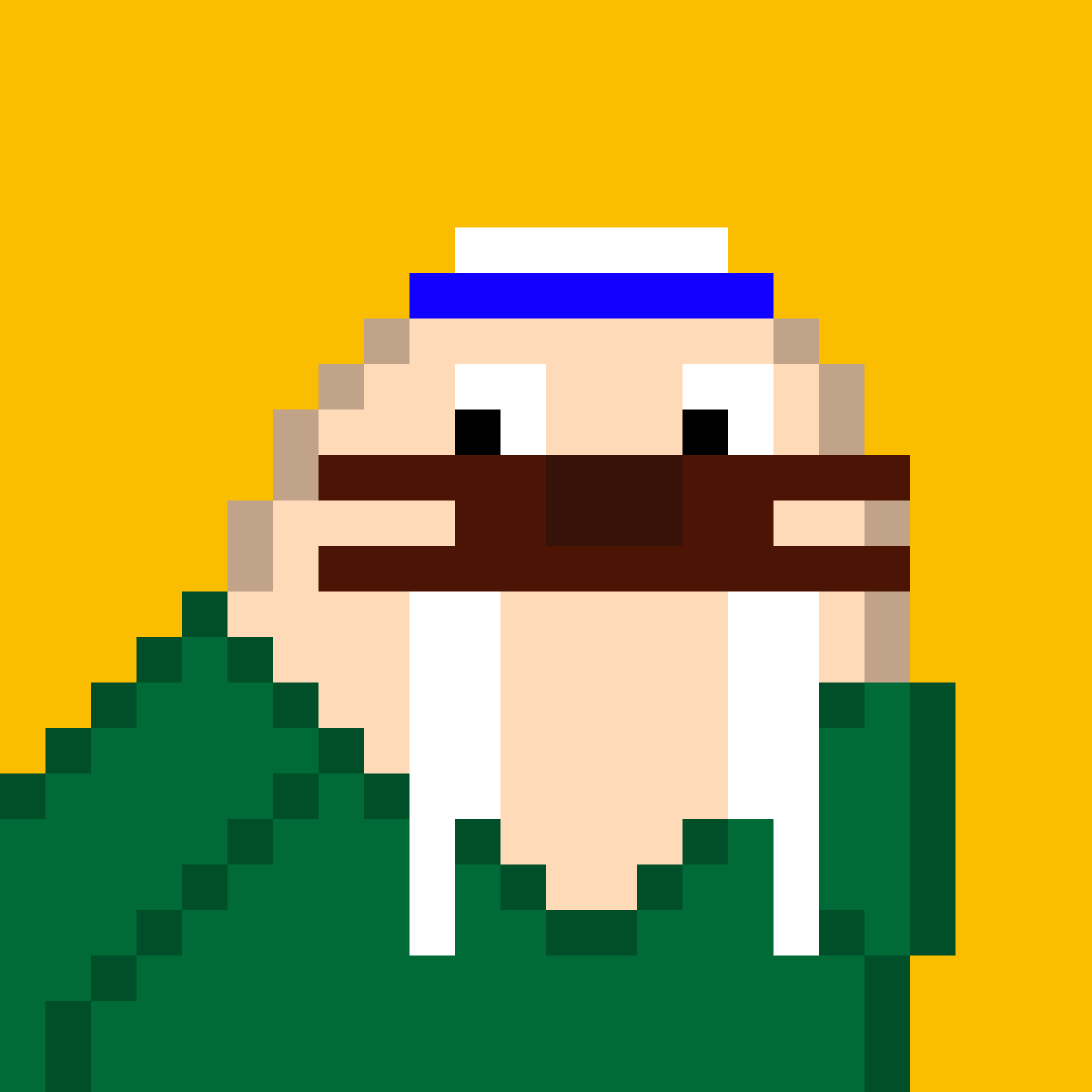 Front for Frosty Walrus #171