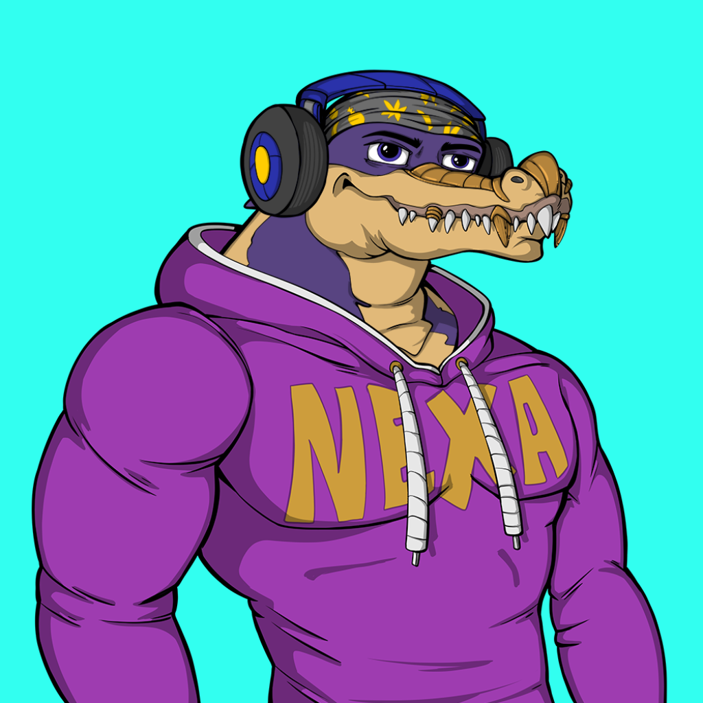 Front for Miami Gator 224