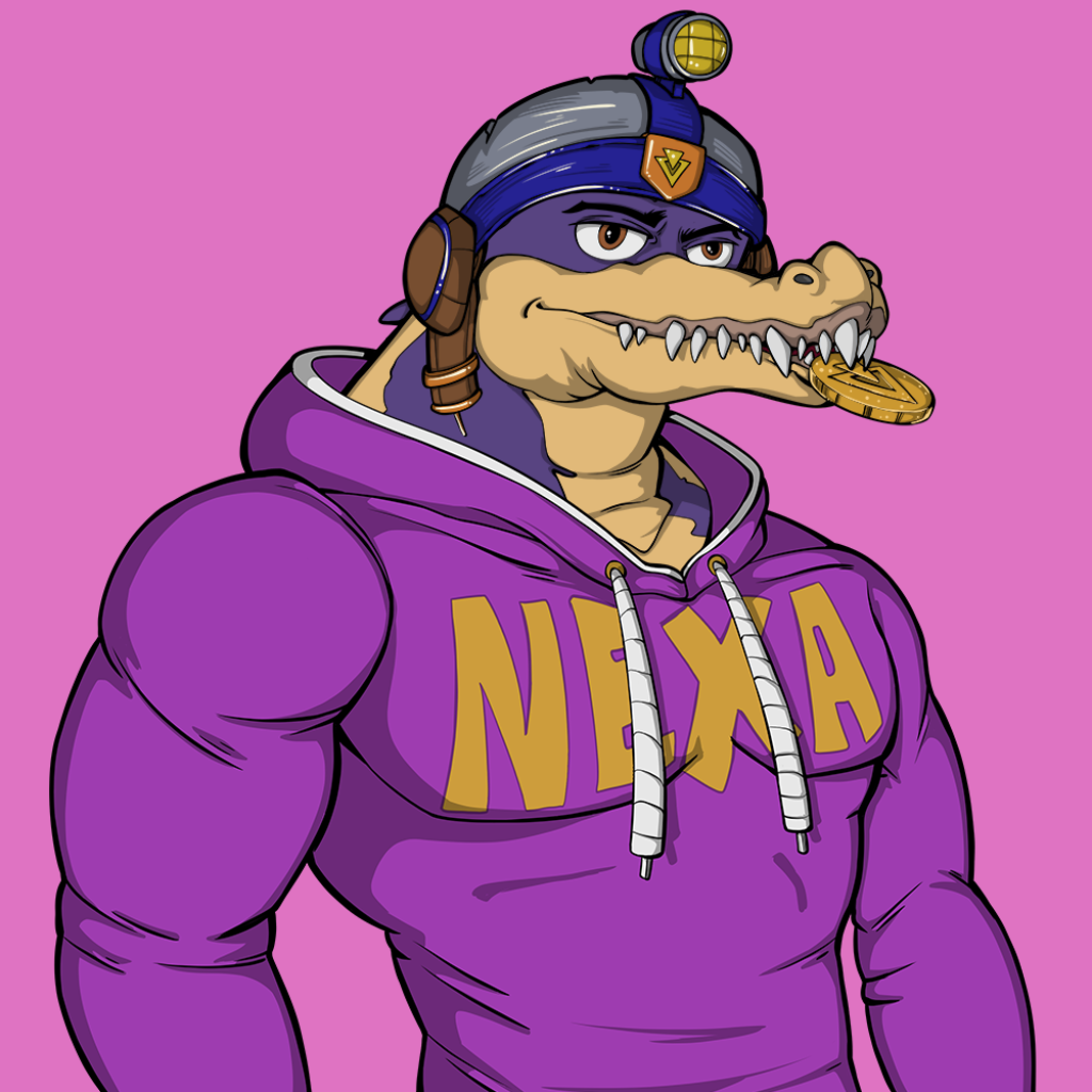 Front for Miami Gator 375