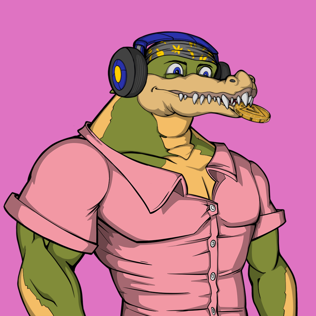 Front for Miami Gator 418