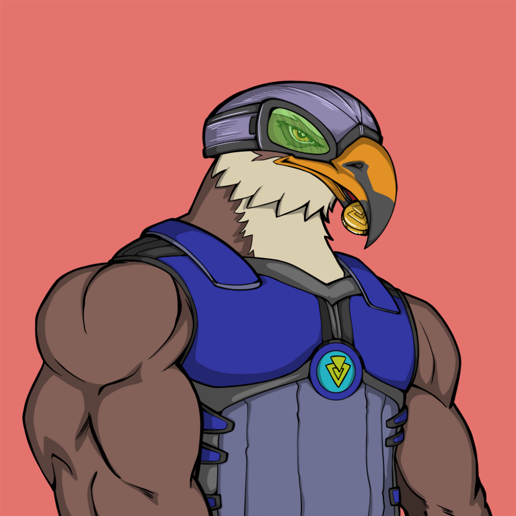 Front for Falcon072