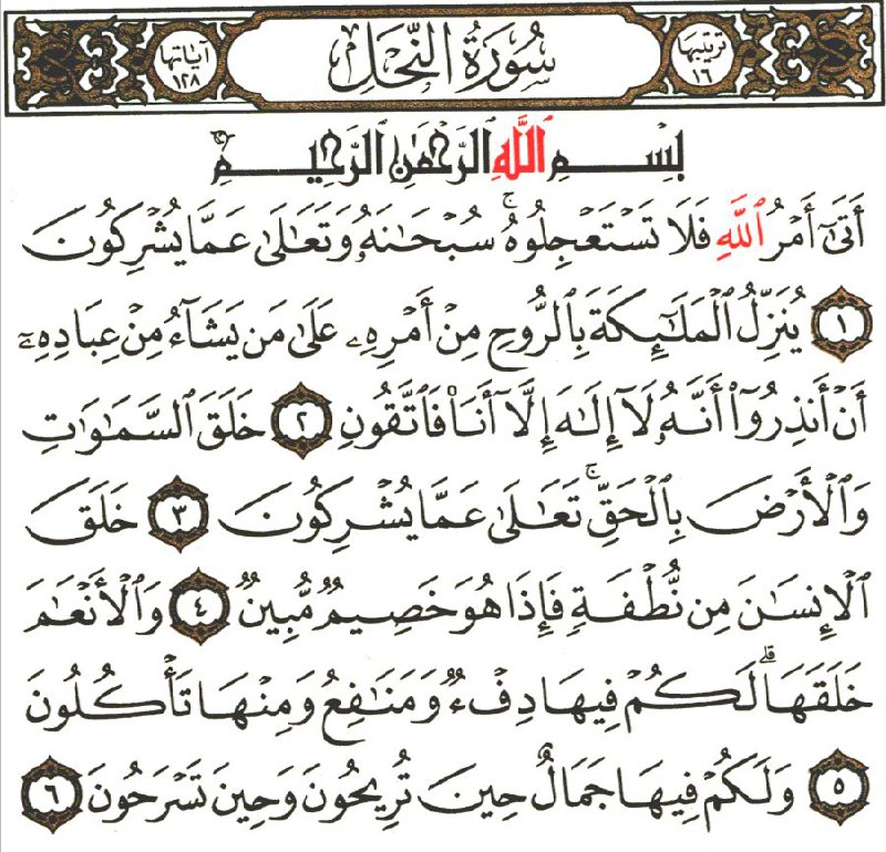 Front for سورة النحل The Bees